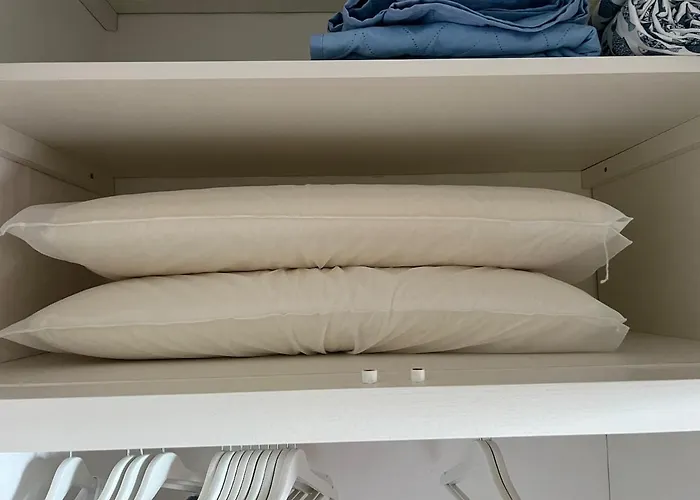 Blue Dawn * Capo Coda Cavallo