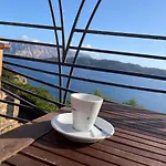 Blue Dawn Capo Coda Cavallo