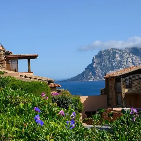 Apartment Blue Dawn *