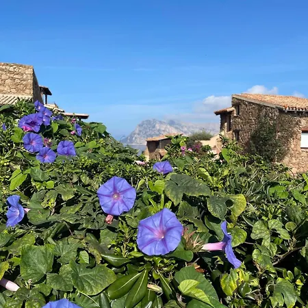 Blue Dawn Apartment Capo Coda Cavallo