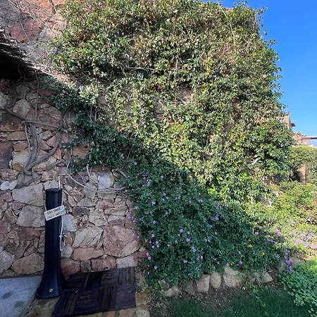 Apartment Blue Dawn Capo Coda Cavallo