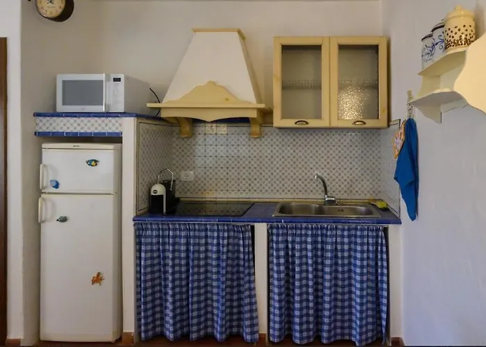 Blue Dawn Capo Coda Cavallo