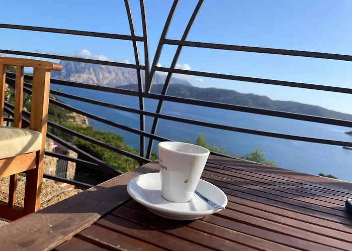 Blue Dawn Capo Coda Cavallo