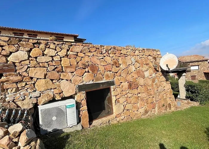 Blue Dawn * Capo Coda Cavallo