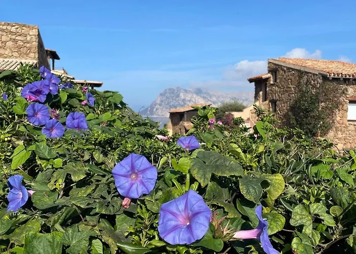 Blue Dawn Apartment Capo Coda Cavallo