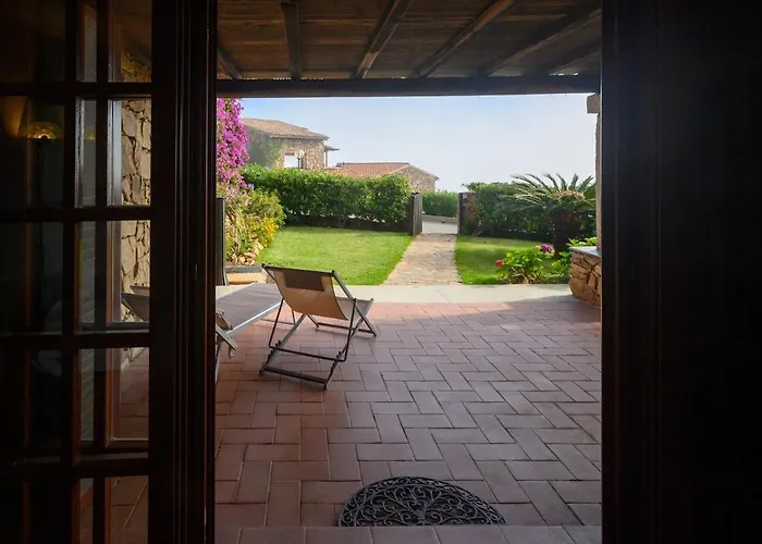 Blue Dawn Capo Coda Cavallo