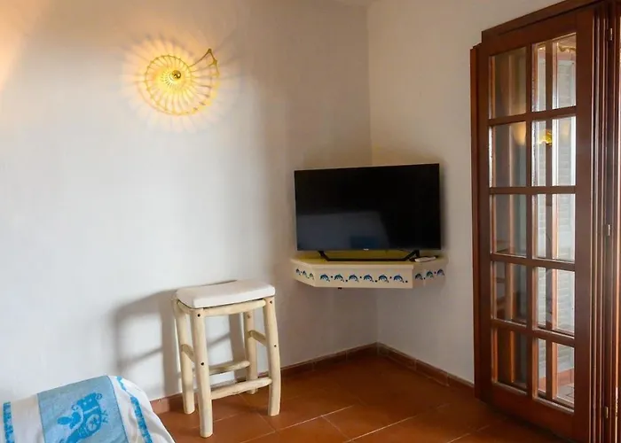 Blue Dawn Capo Coda Cavallo