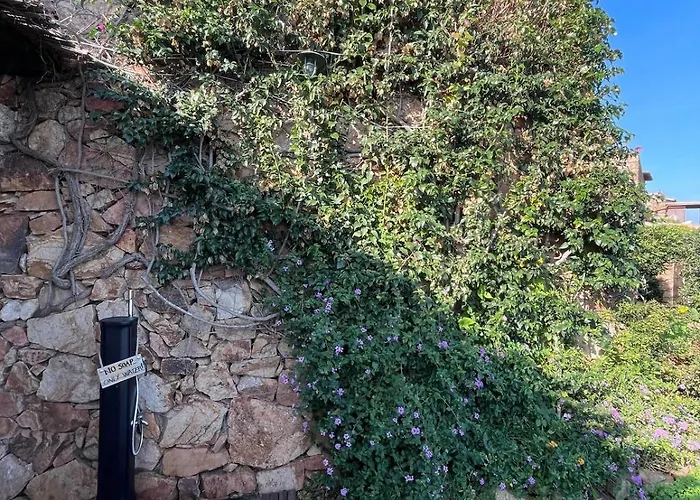 Apartment Blue Dawn Capo Coda Cavallo