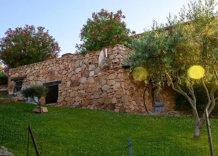 Blue Dawn Capo Coda Cavallo