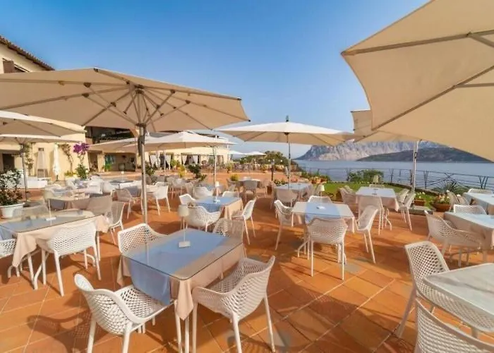 Blue Dawn Capo Coda Cavallo